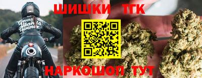 тгк Гусев