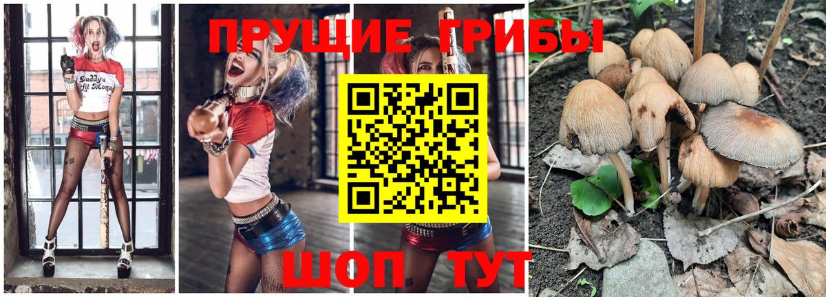 Галлюциногенные грибы мухоморы Арсеньев